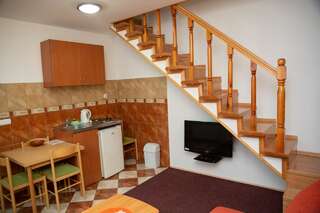 Апартаменты Apartments Radović Колашин Двухуровневые апартаменты-3