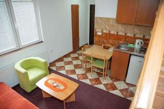 Апартаменты Apartments Radović Колашин Двухуровневые апартаменты-19