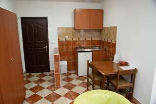 Апартаменты Apartments Radović Колашин Номер-студио 3-3