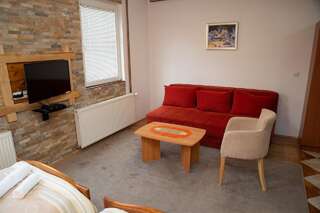 Апартаменты Apartments Radović Колашин Номер-студио 2-4